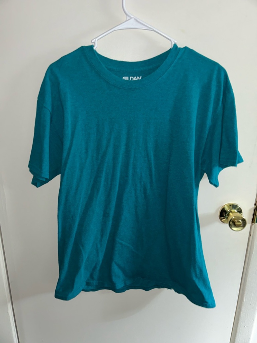 Giland - Teal Blue Tee - L/Large